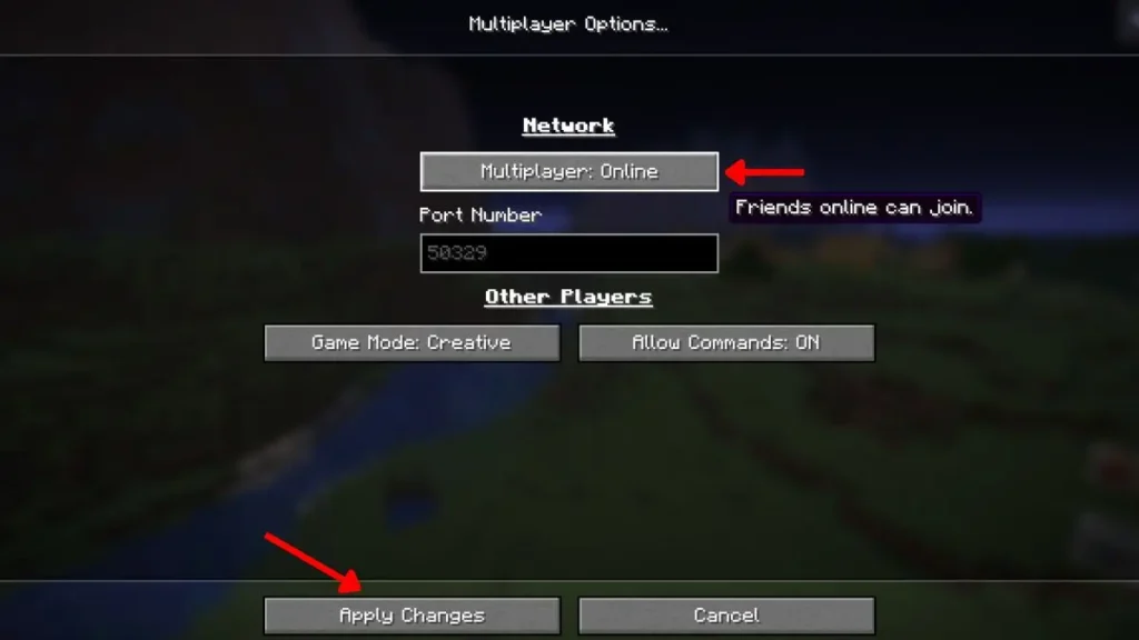 Turn Online Multiplayer On